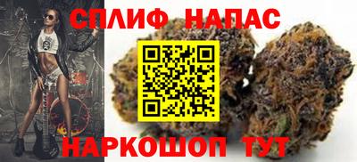 СК Моздок