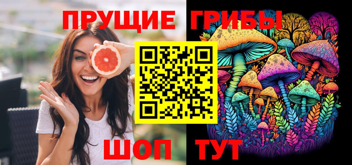 Галлюциногенные грибы Psilocybe Верхняя Пышма
