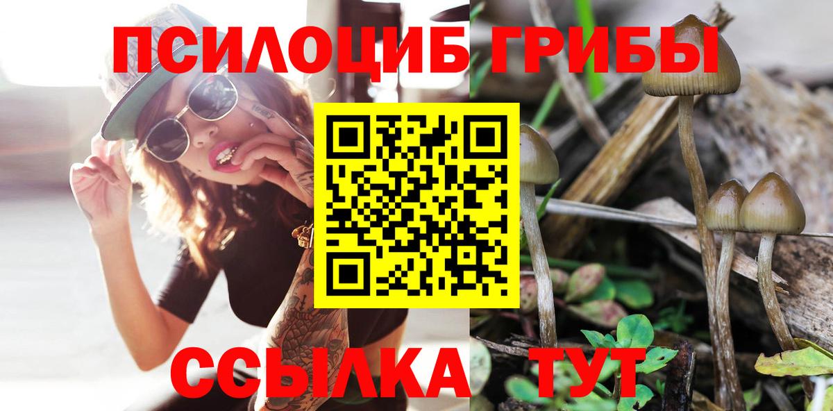 что такое наркотик  Вход с VPN  Верхняя Пышма  Галлюциногенные грибы Magic Shrooms 